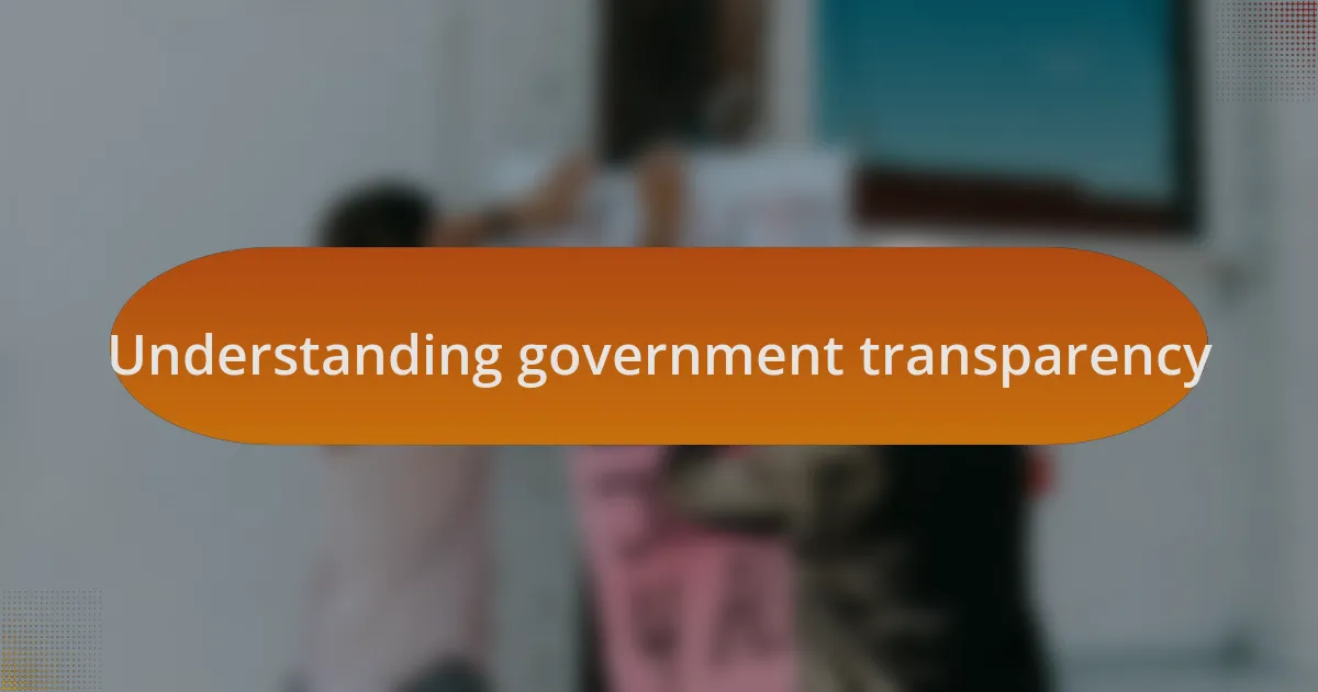 Understanding government transparency